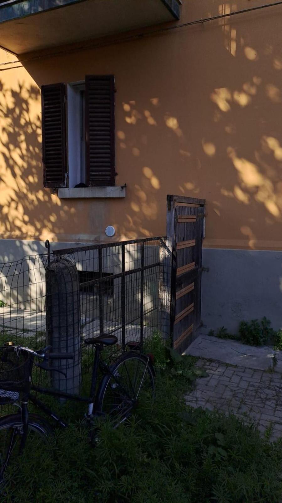 Fiera Bolognina - Komodo - Appartamento Completo Con Giardino E Parcheggio Privato Bologna Eksteriør billede